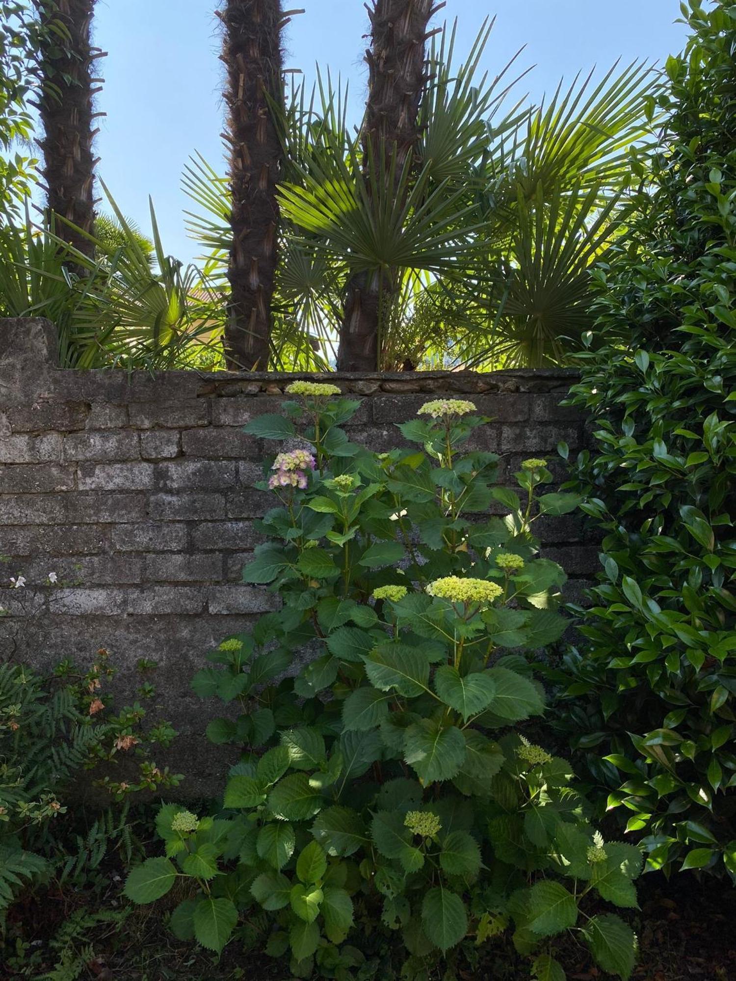 Casa Tranquilla Villa Cannobio Buitenkant foto